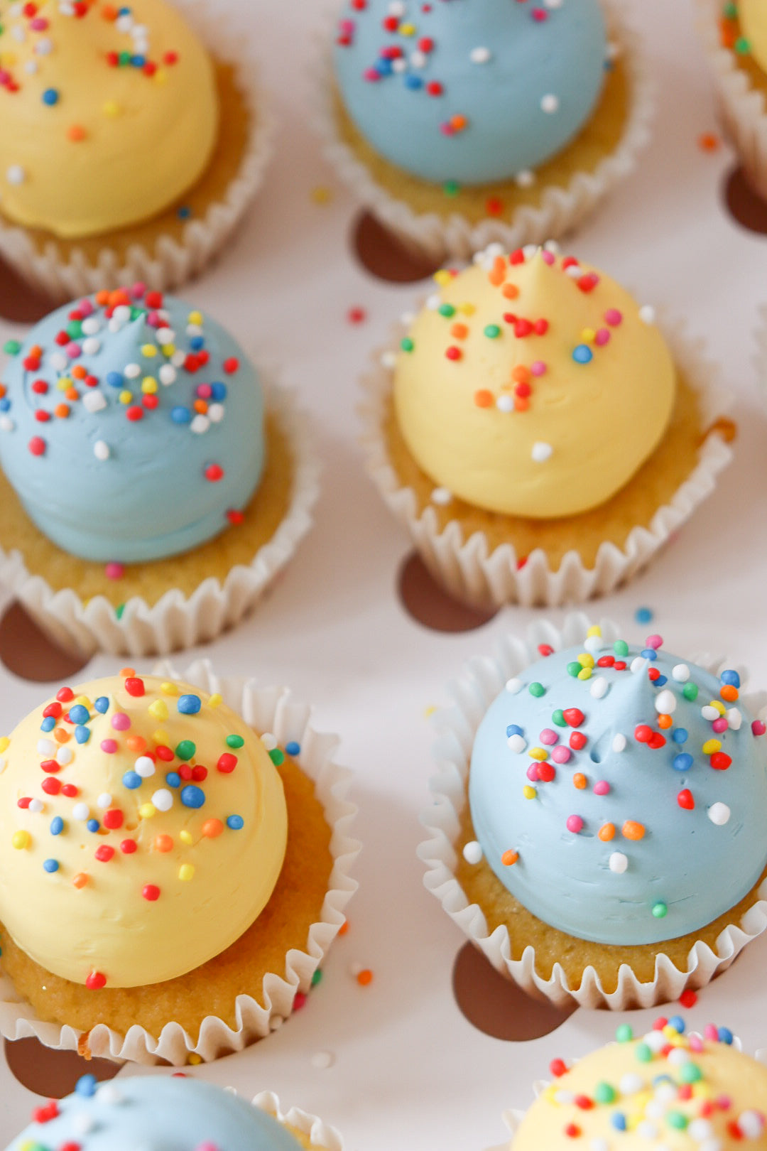 Dainty Sprinkle Minis