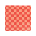 Checkered Red & Peachy Pink Napkins (20 Pack)